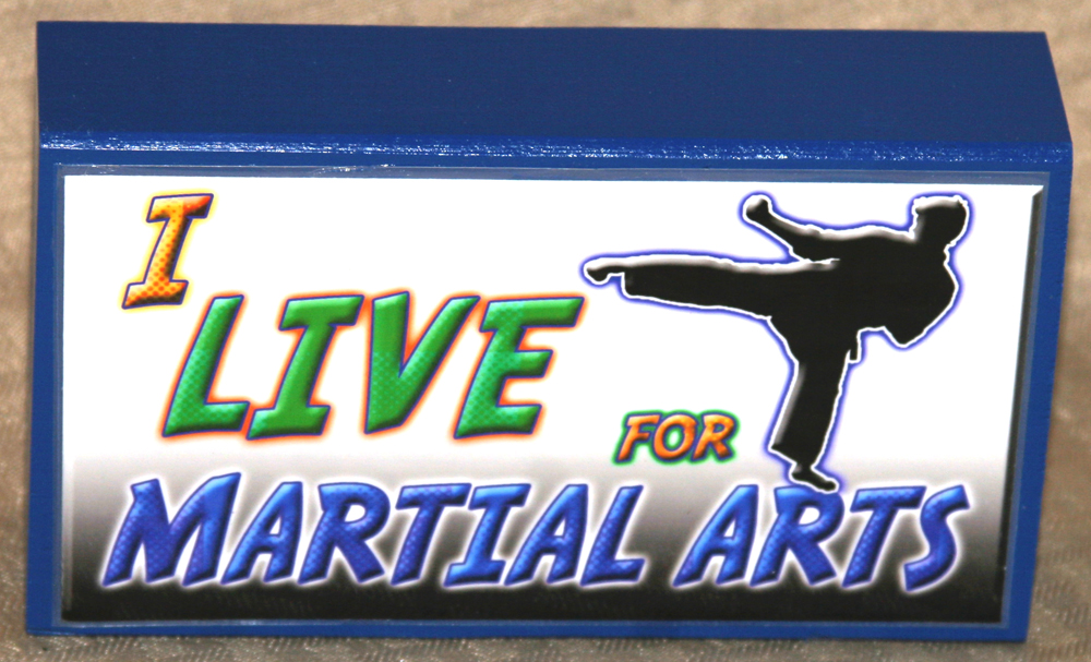 I Live For Martial Arts